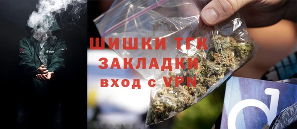 дмт Пестово