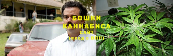 ГАЛЛЮЦИНОГЕННЫЕ ГРИБЫ Балабаново